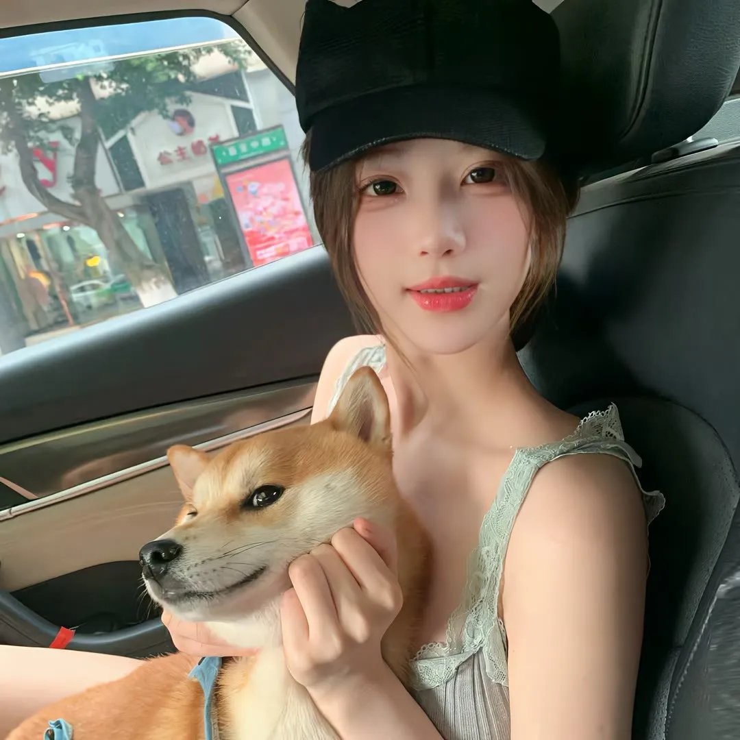 2036来历不明